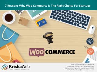 7 Reasons Why Woo Commerce Is The Right Choice For Startups