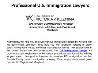 Professional U.S. Immigration Lawyers
