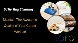 Choose Trustworthy Carpet Cleaning NYC Service in Your Area