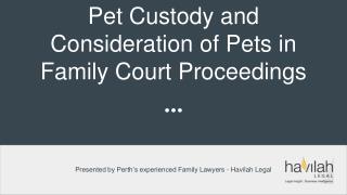 Pet Custody and Consideration of Pets in Family Court Proceedings - Havilah Legal