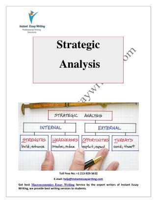 Sample on Strategic Analysis By Instant Essay Writing