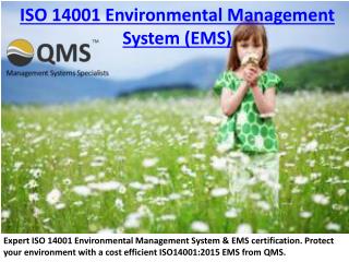 ISO 14001 Environmental Management System & EMS Certification Experts