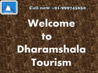 Get The Discounted Rates for Honeymoon and Volvo Pacakges for Dharamshala
