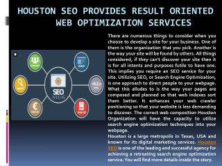 Houston SEO Provides Result Oriented Web Optimization Services