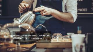 How To Get The Freshest Darjeeling Organic Tea 1st Flush Online?