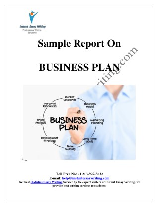 Sample Report on business plan By Instant Essay Writing