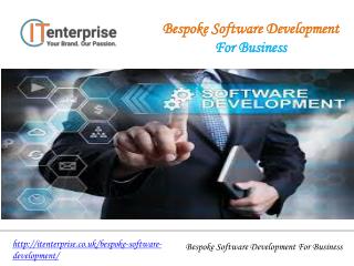 Bespoke Software Development For Business