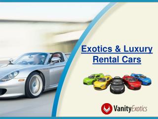 Exotics and Luxury Rental Cars