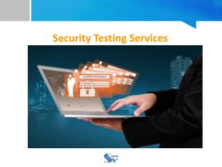 Security testing services