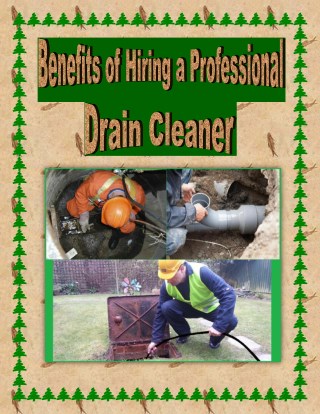 Benefits of Hiring a Professional Drain Cleaner