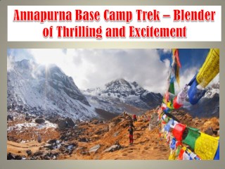 Annapurna Base Camp Trek – Blender of Thrilling and Excitement