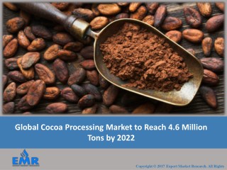 Cocoa Processing Industry Outlook 2017 To 2022