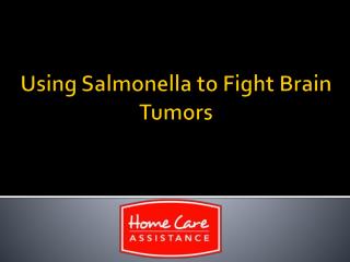 Using Salmonella to Fight Brain Tumors