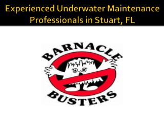 Experienced Underwater Maintenance Professionals in Stuart, FL