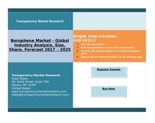 Borophene Market Enhanced Electrical & Mechanical Properties, Analysis By 2025