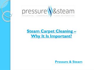 Steam Carpet Cleaning – Why It Is Important?