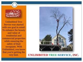 Tree Service Experts, Columbia, MD