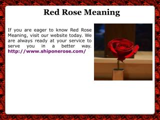 Send One Rose Online