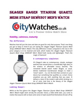 Skagen Hagen Titanium Quartz Mesh Strap SKW6307 Men’s Watch