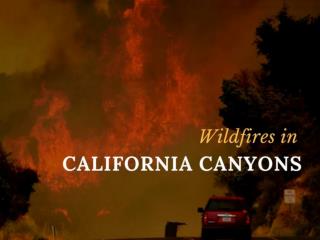 Wildfire in California canyons spreads overnight