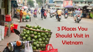 3 Places You Should Visit in Vietnam