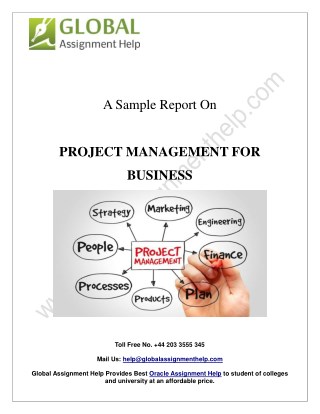 Sample Report On Project Management For Business By Global Assignment Help