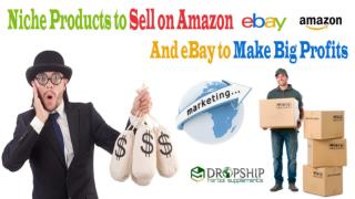 Niche Products to Sell on Amazon and eBay to Make Big Profits