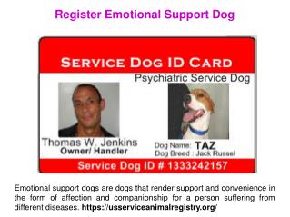 Service dog laws