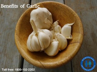 Benefits of Garlic in daily life