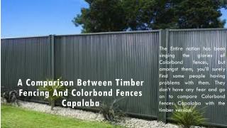 A Comparison between Timber Fencing and Colorbond Fences Capalaba