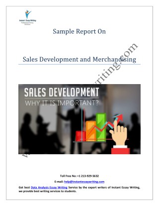 Sample Report on Sales Development and Merchandising By Instant Essay Writing