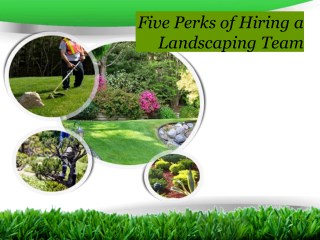 Five perks of hiring a landscaping team