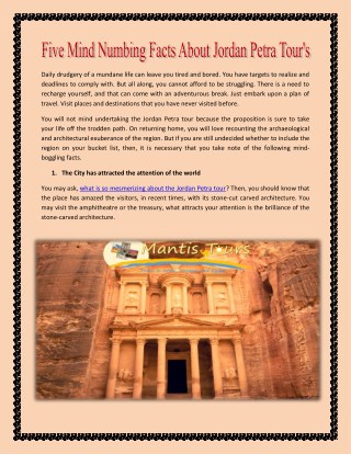Five Mind Numbing Facts About Jordan Petra Tour's