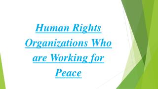 Human Rights Organizations Who are Working for Peace
