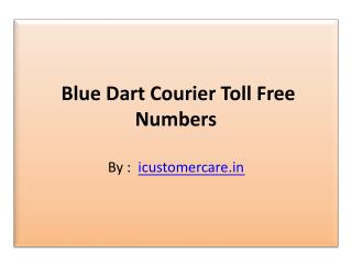 Blue Dart Contact Number and Email Address