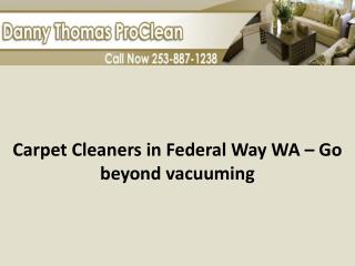 Carpet Cleaners in Federal Way WA – Go Beyond Vacuuming