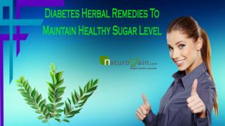 Diabetes Herbal Remedies To Maintain Healthy Sugar Level