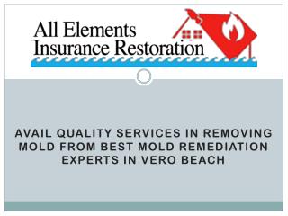 Avail Quality Services in Removing Mold from Best Mold Remediation Experts in Vero Beach