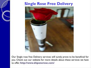 Buy Single Rose Online