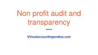 Non profit audit And Transparency | virtualaccountingandtax