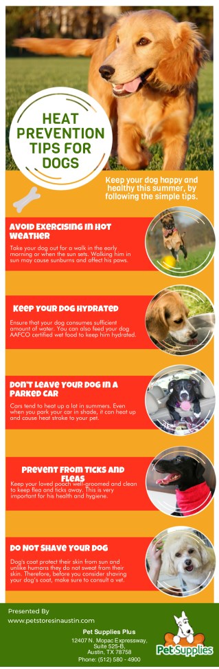 Heat Prevention Tips For Dogs