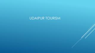 A glimpse of the city of Udaipur
