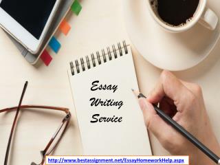 essay writing service