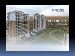 DLF New Town Heights Apartments in Gurgaon