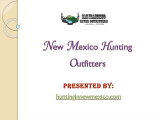 New Mexico hunting outfitters