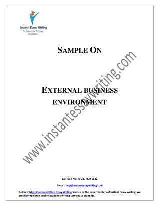 Sample Report on External Business Environment By Instant Essay Writing