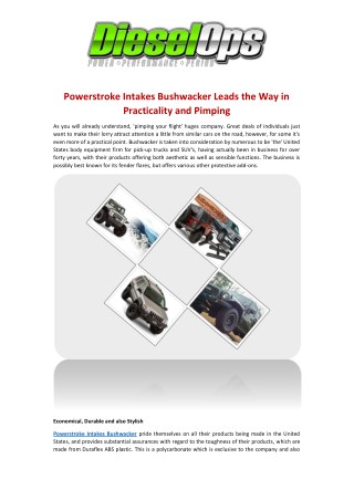 Powerstroke Intakes Bushwacker Leads the Way in Practicality and Pimping