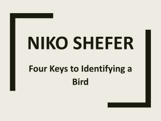 Niko Shefer - Four Keys To Identifying A Bird
