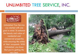 24 Hour Emergency Tree Removal & Storm Damage
