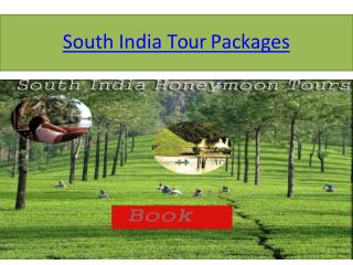 South india travel